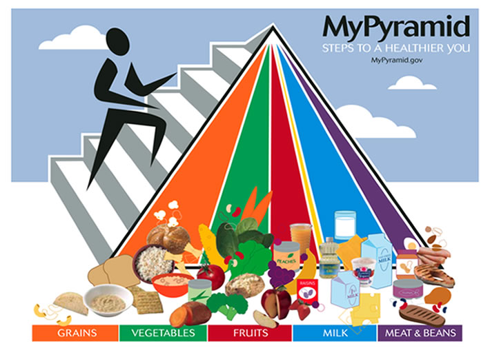 Food Pyramid